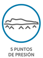 5 puntos de presión